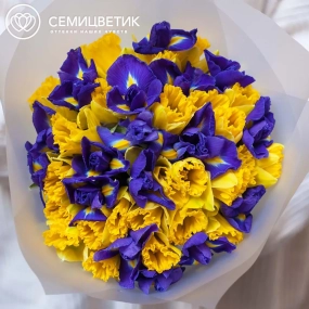 Букет из 26 желтых нарциссов и 19 ирисов в прозрачной пленке