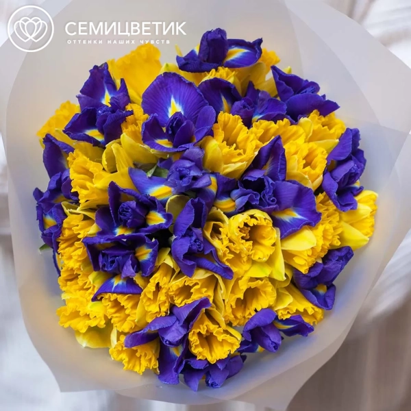 Букет из 26 желтых нарциссов и 19 ирисов в прозрачной пленке
