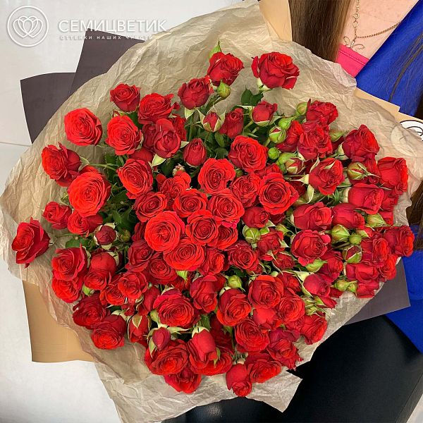 Букет из 25 красных кустовых роз 40 см (Кения) в бордовой пленке
