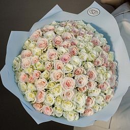 Букет из 101 белой и нежно-розовой розы 40 см (Кения) в голубой пленке