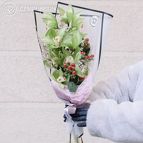 Букет из орхидеи зеленой, астильбы и гиперикума в бордовой пленке