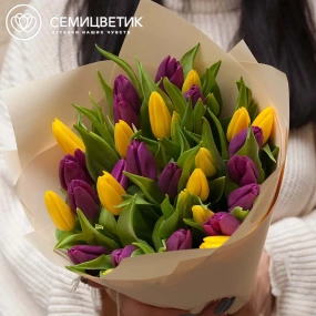 Букет из 35 желтых и фиолетовых тюльпанов в кремовой пленке