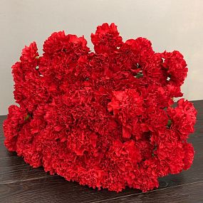 Одноголовая Красная поштучно