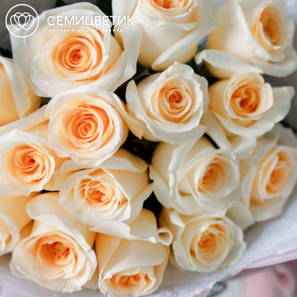 Букет из 15 кремовых роз Creme de la Creme 50 см (Эквадор)