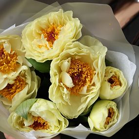 Монобукет  из 7 лимонных пионов Lemon Chiffon Premium