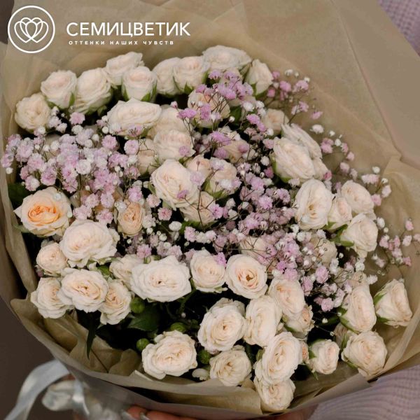 Букет из 13 кремовых кустовых роз 40 см (Кения) и 2 розовых гипсофил в кремовой пленке