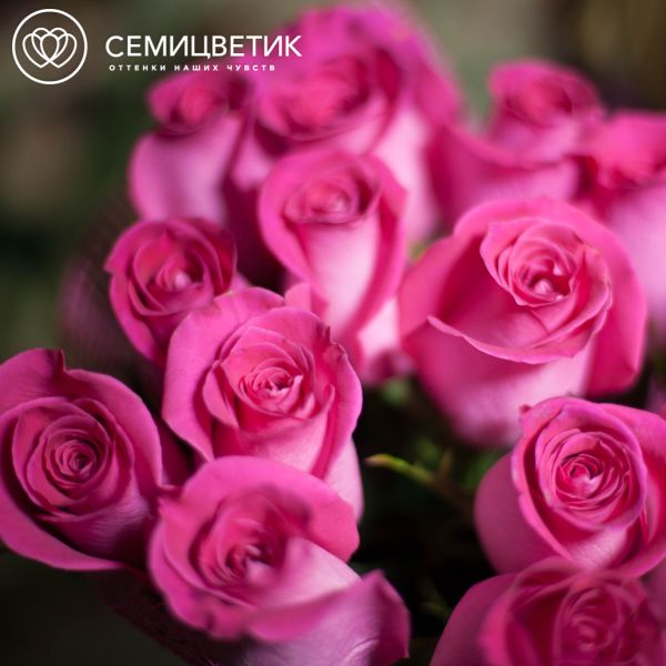 Букет из 17 розовых роз Topaz 50 см (Эквадор)