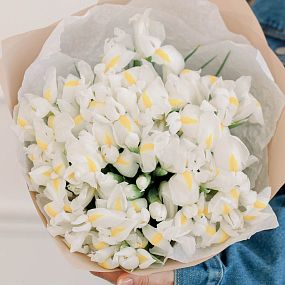 Букет из 35 белых ирисов