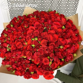 Букет из 101 красной кустовой розы 40 см (Кения) в упаковке