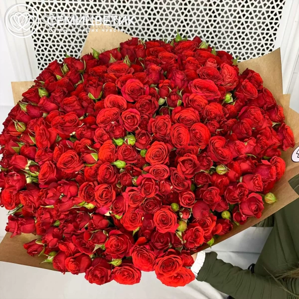 Букет из 101 красной кустовой розы 40 см (Кения) в упаковке