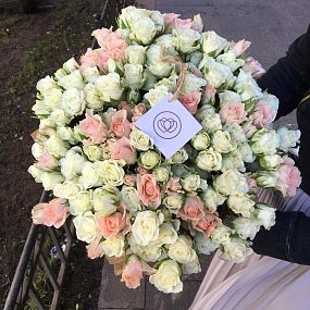 Букет из 51 бело-кремовой кустовой розы 40 см (Кения)