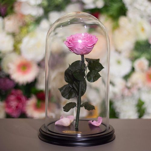 Розовая роза в колбе 31 см