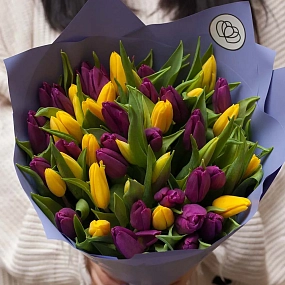 Букет из 51 желтого и фиолетового тюльпана в сиреневой пленке