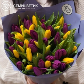 Букет из 51 желтого и фиолетового тюльпана в сиреневой пленке