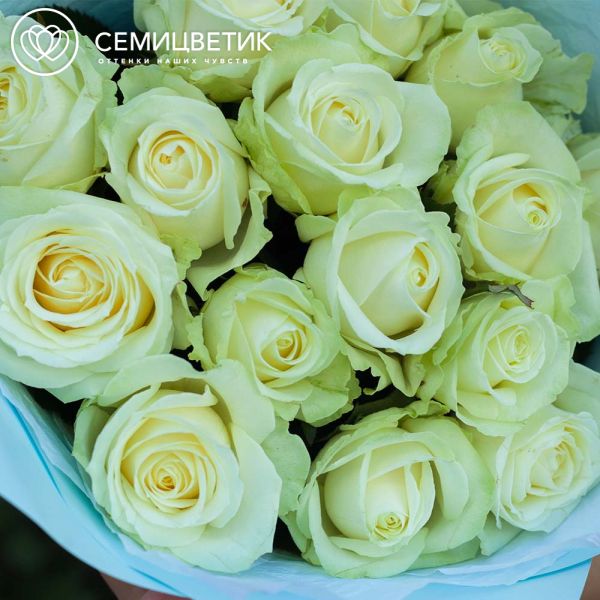 Букет из 15 белых роз 70 см (Россия)