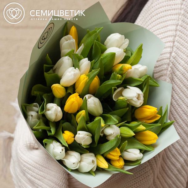 Букет из 35 желтых и белых тюльпанов 40 см в зеленой пленке