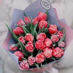 Букет из 25 розовых пионовидных тюльпанов в сиреневой пленке