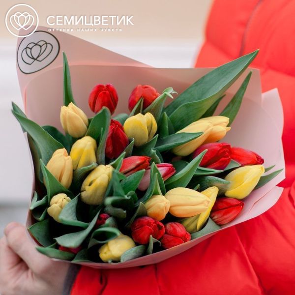 Букет из 25 желтых и красных тюльпанов 40 см в кремовой пленке