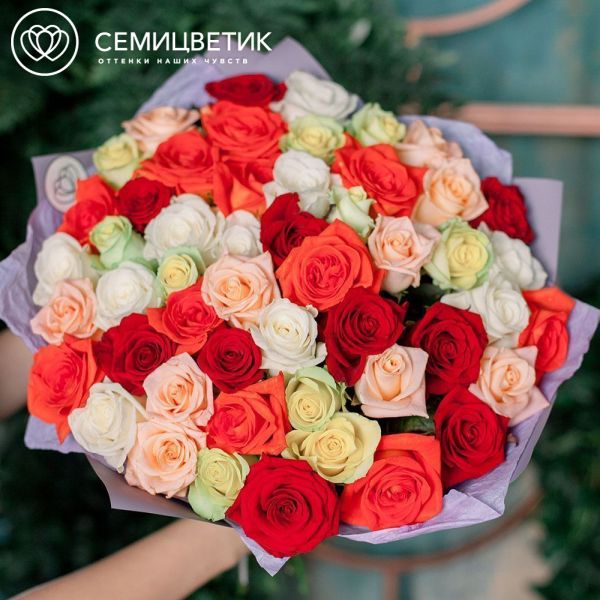 Букет из 51 розы 35-40 см микс (Россия) в сиреневой пленке
