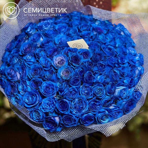 Букет из 101 синей розы 60 см (Эквадор)