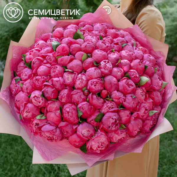 Букет из 101 ярко-розового пиона Command Performance Premium в кремовой пленке