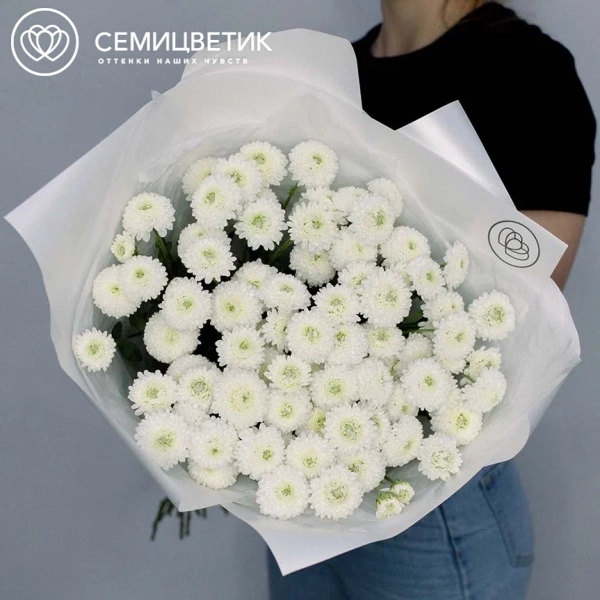 Букет из 25 белых кустовых хризантем