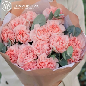 Букет из 15 розовых гвоздик с эвкалиптом в кремовой пленке