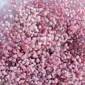 Монобукет  из 15 розовых гипсофил в розовой пленке