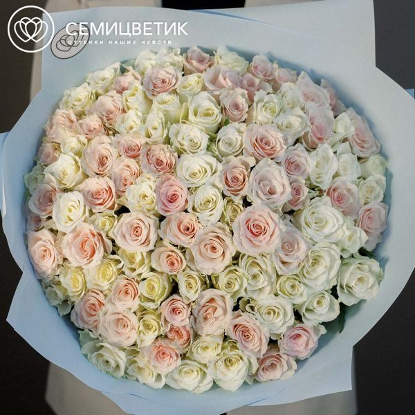 Букет из 101 белой и нежно-розовой розы 40 см (Кения) в голубой пленке