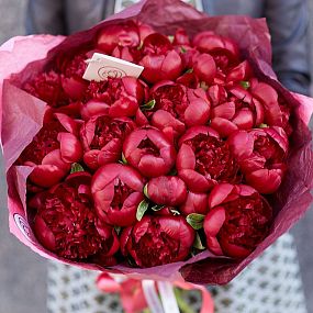 Букет из 19 бордовых пионов Premium