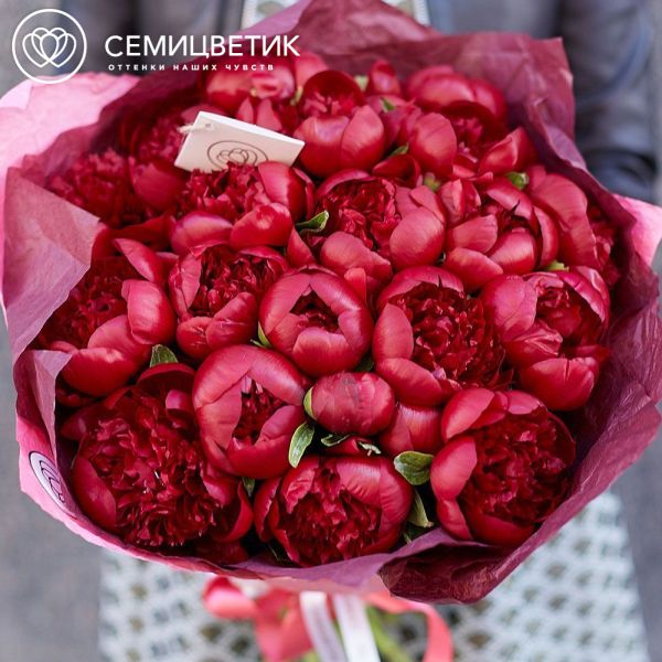 Букет из 19 бордовых пионов Premium