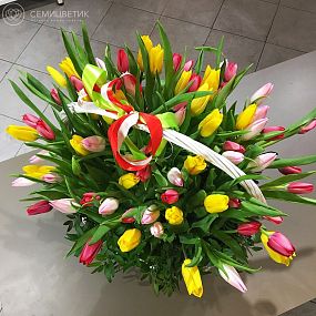 Композиция из 71 тюльпана в корзине