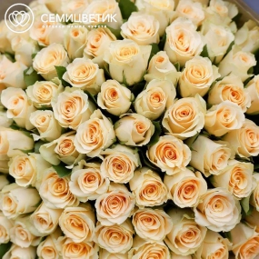 Букет из 101 кремовой розы 40 см (Кения) в сиреневой пленке