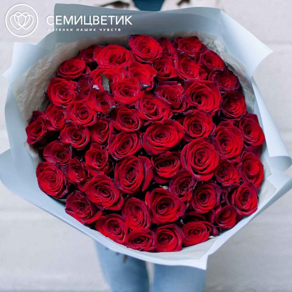 Букет из 51 красной с темной каймой розы Магия 60 см (Россия)