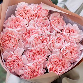 Мини-букет  из 15 розовых гвоздик