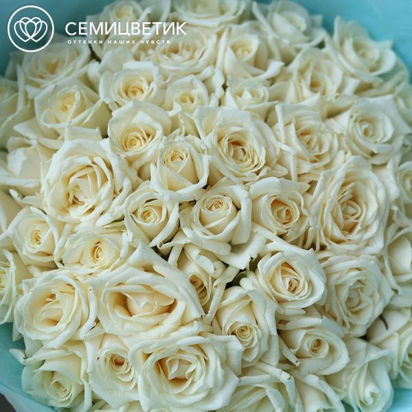 Букет из 51 белой розы 40 см (Россия) в голубой пленке