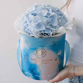 Букет в голубой шляпной коробке Amour Mini из 3 голубых гортензий