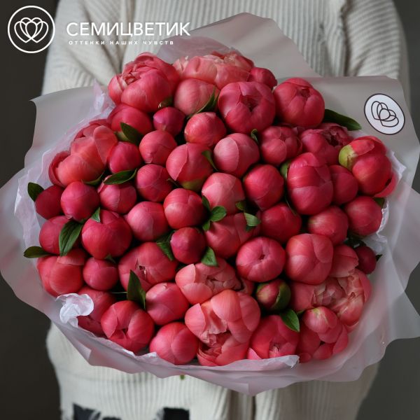 Букет из 51 кораллового пиона Coral Sunset Premium