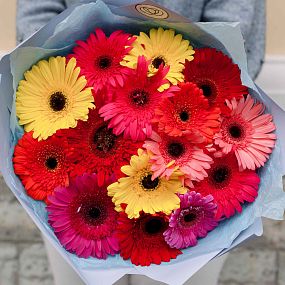 Монобукет  из 15 гербер микс