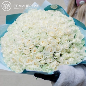 Букет из 151 белой розы 35-40 см (Россия) в голубой пленке