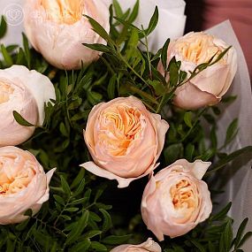 Букет из 11 персиковых пионовидных роз Juliet 50 см (Эквадор) с фисташкой