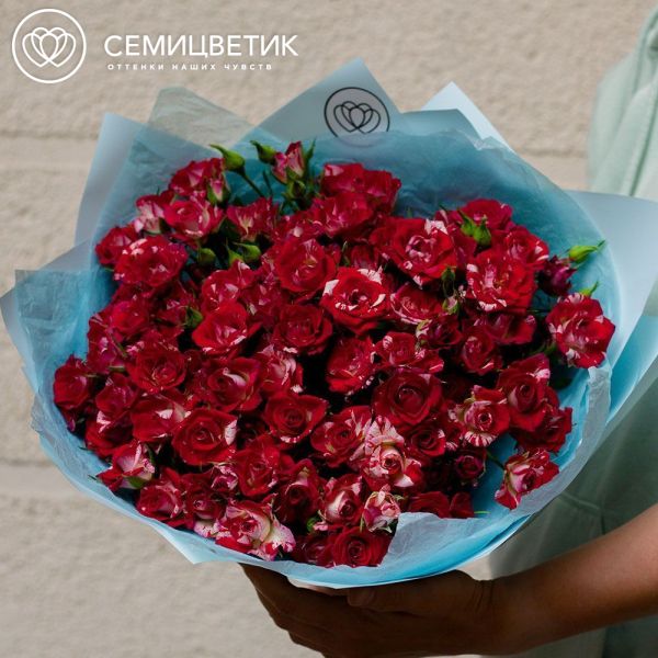 Букет из 25 кустовых роз биколор 40 см (Кения)