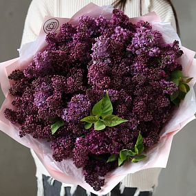 Букет из 51 ветки сирени