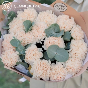 Букет из 15 кремовых гвоздик с эвкалиптом в кремовой пленке