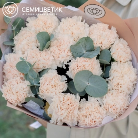 Букет из 15 кремовых гвоздик с эвкалиптом в кремовой пленке