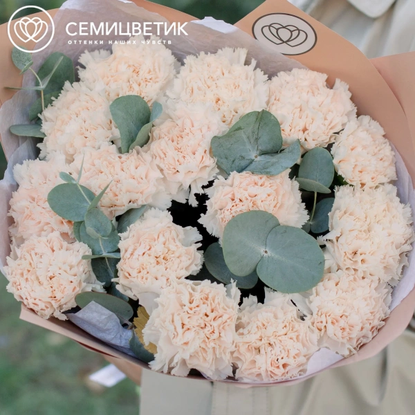 Букет из 15 кремовых гвоздик с эвкалиптом в кремовой пленке
