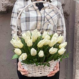Композиция из 35 белых тюльпанов с фисташкой в корзине