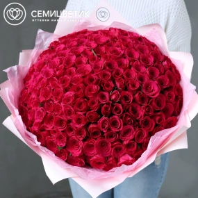 Букет из 151 малиновой розы 35-40 см (Кения) в розовой пленке