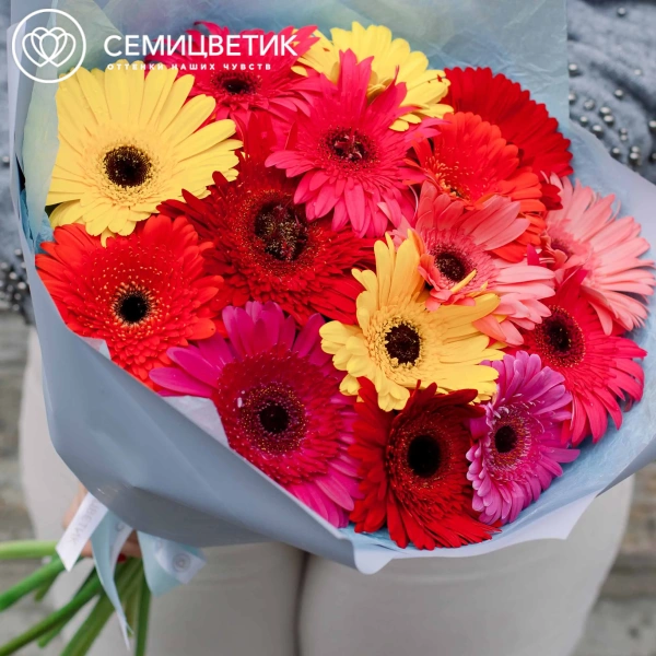 Букет из 15 гербер микс в голубой пленке