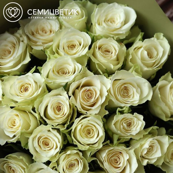 Букет из 25 белых роз 40 см (Кения)